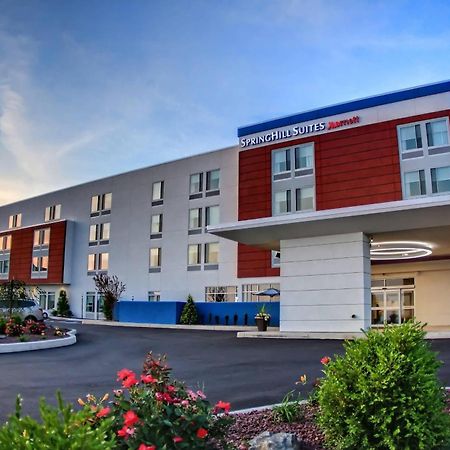 Springhill Suites By Marriott Scranton Montage Mountain Moosic Екстериор снимка